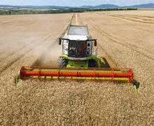 Зібраний урожай зернових перевалив за 10 млн тонн